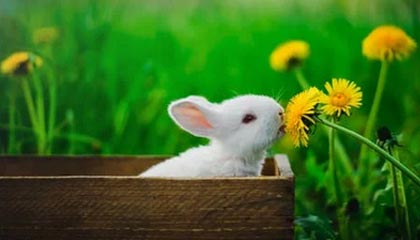 开云体育_《和平精英》全球邀请赛小组赛激战正酣，16强战队诞生