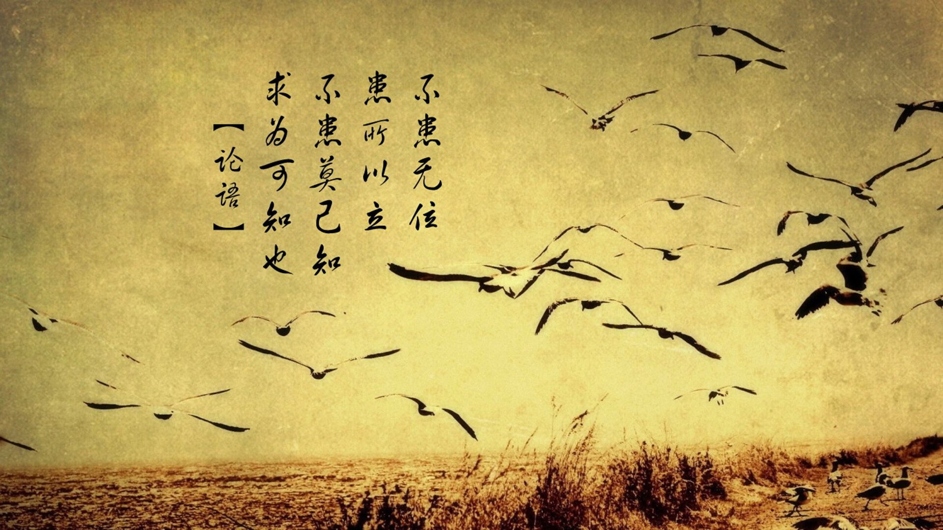 _铁人三项挑战极限：竞赛精彩瞬间集锦_，铁人三项比赛规则