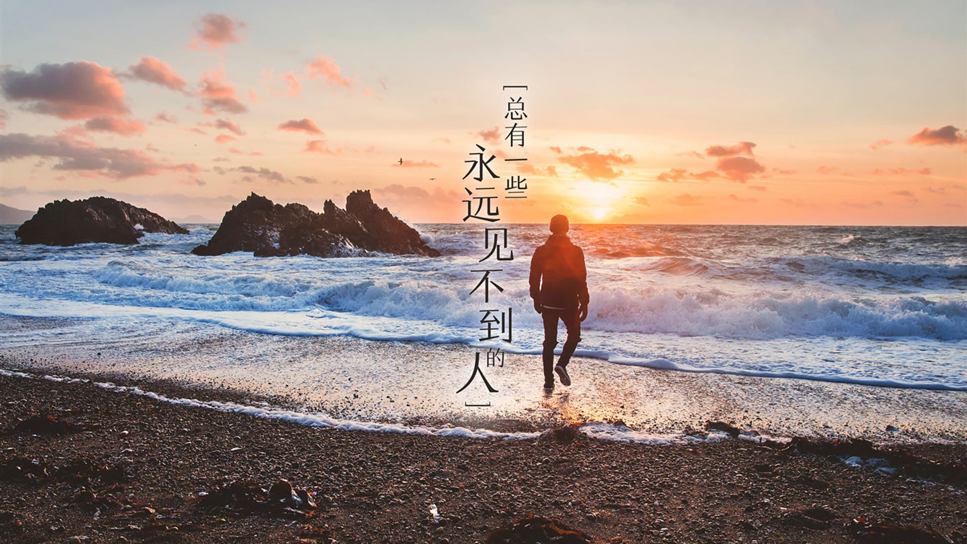 德甲激战，球迷期待未来，德甲足球集锦