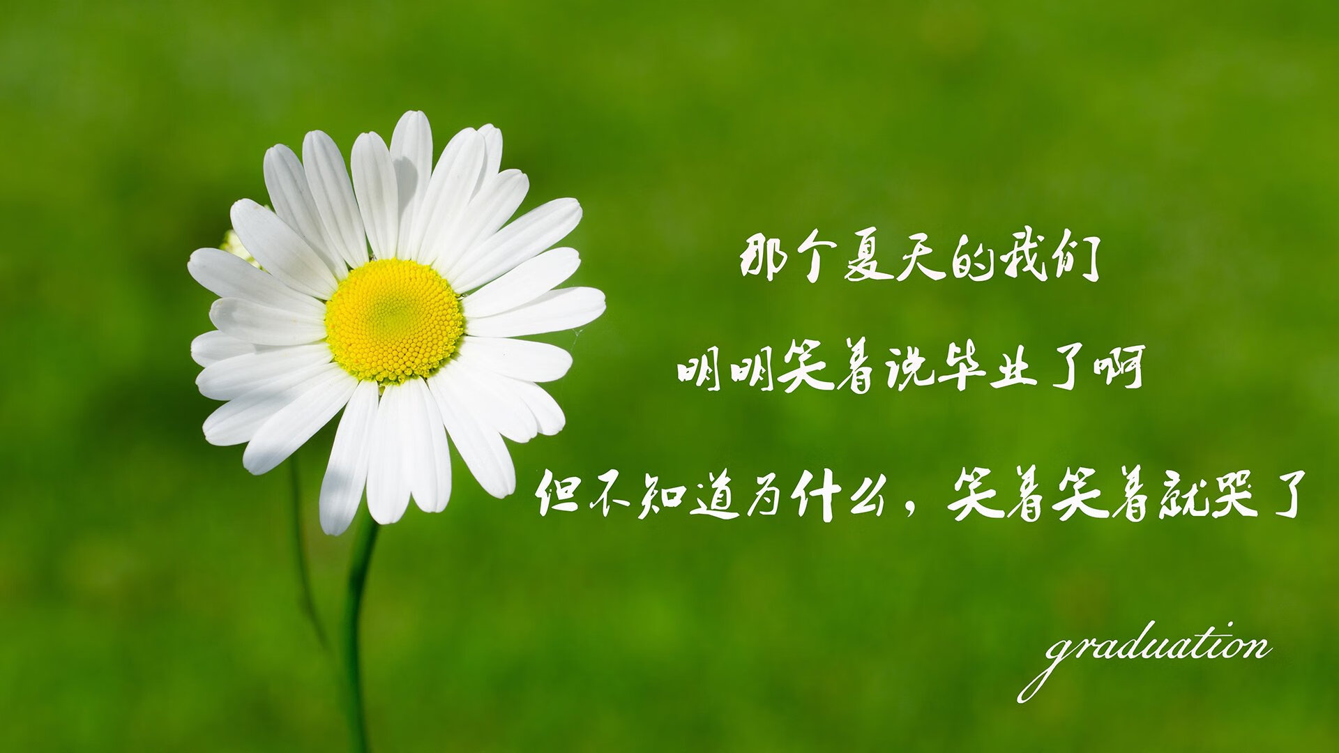 同曦队球队防守体系更加稳固，同曦队老板