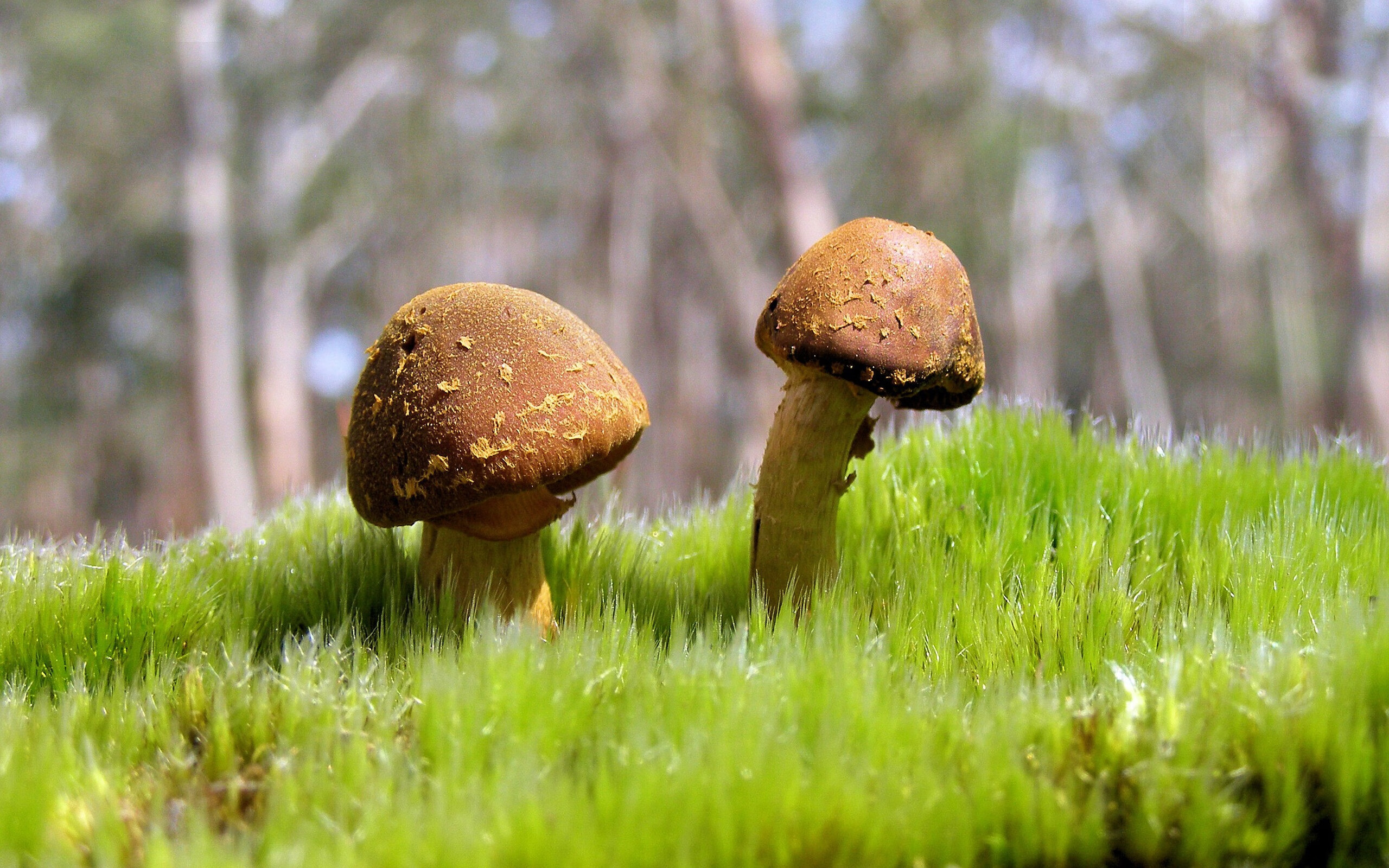 职业球员薪资体系为何难以匹配亚洲市场水准，球员的工资怎么这么高