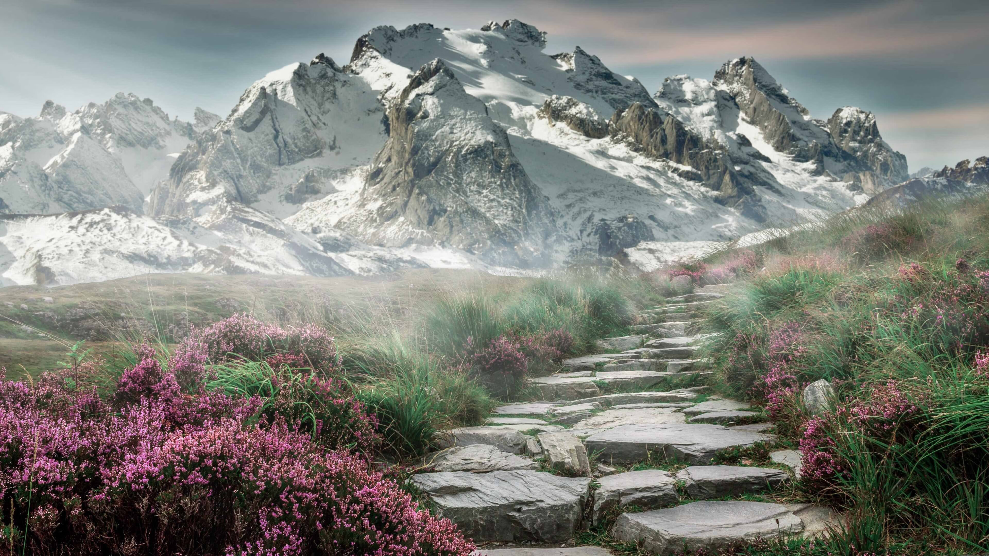 范奥特尔戴克赛后：已拼尽全力，范戴克集锦