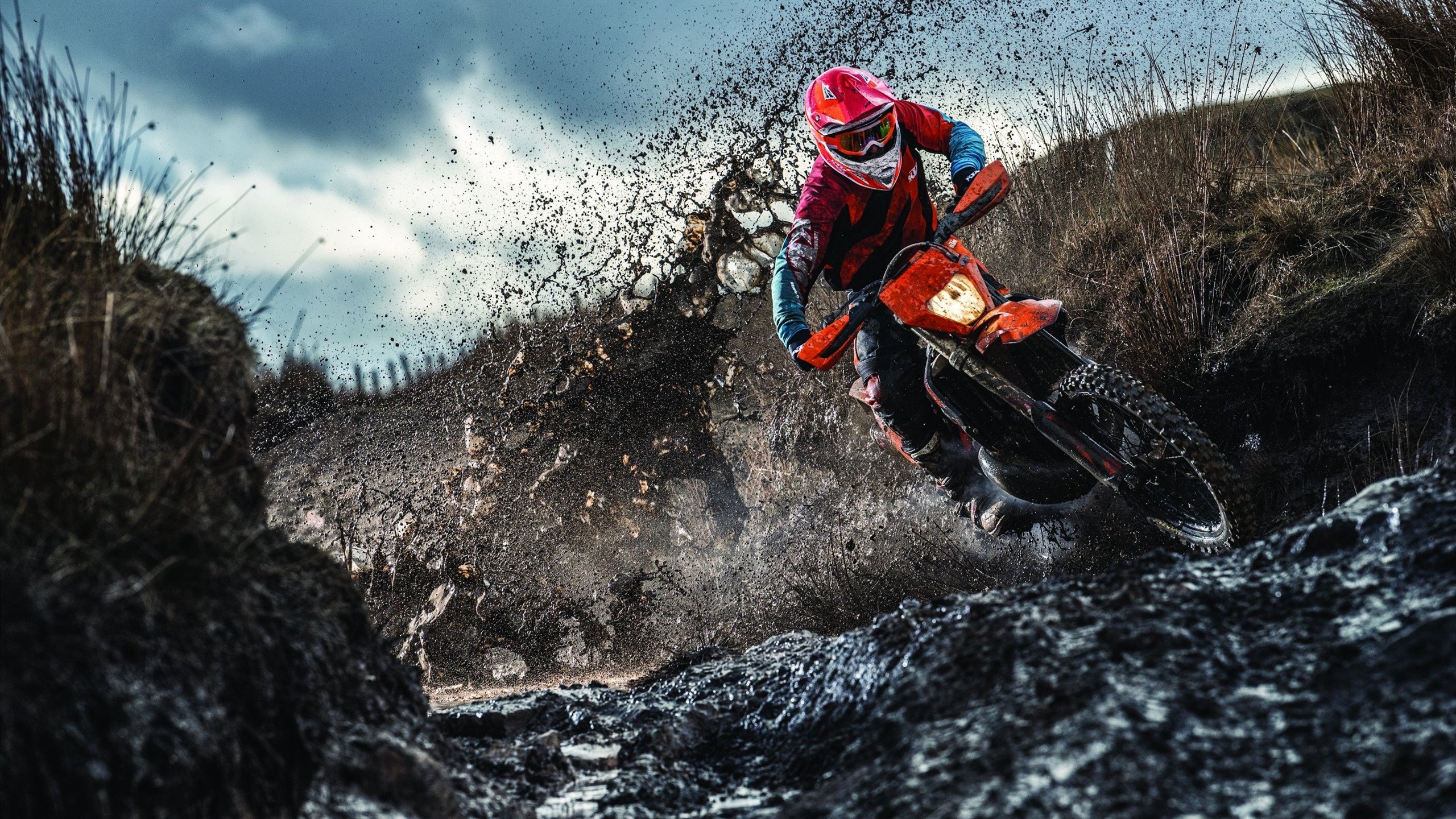 守望先锋 战队阵容调整效果显著，守望先锋联赛新队伍